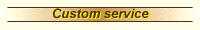 Custom service